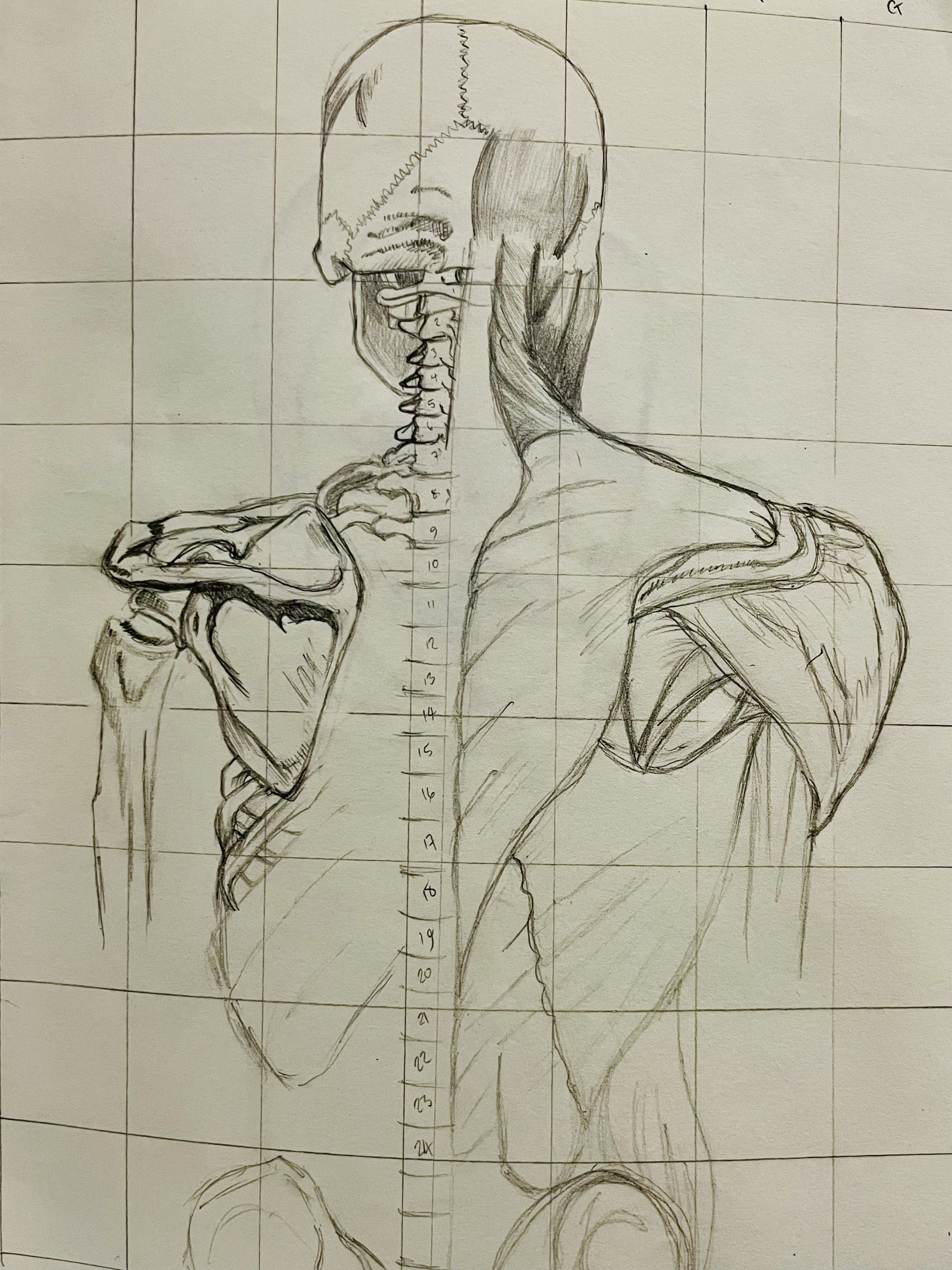 Art Advanced - summer