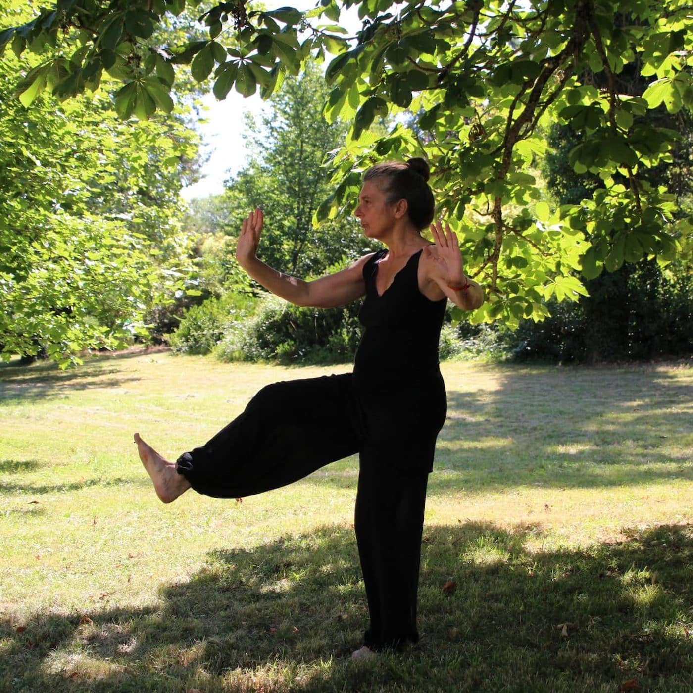 T'ai Chi and Chi Kung Exercises - summer
