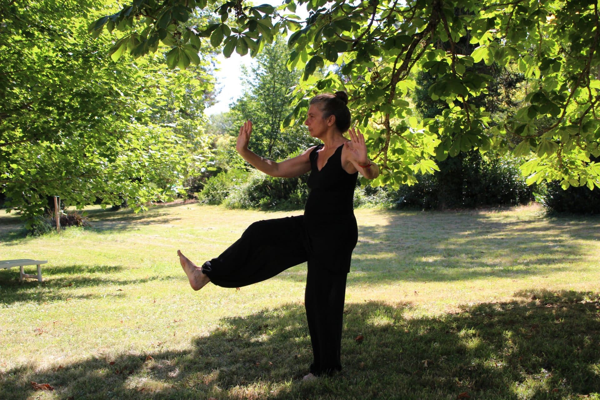 T'ai Chi and Chi Kung Exercises